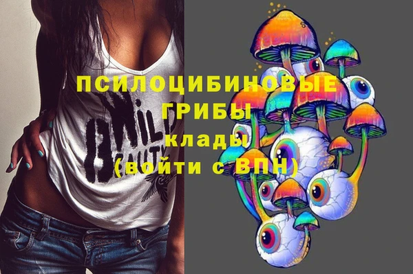 амф Заволжск