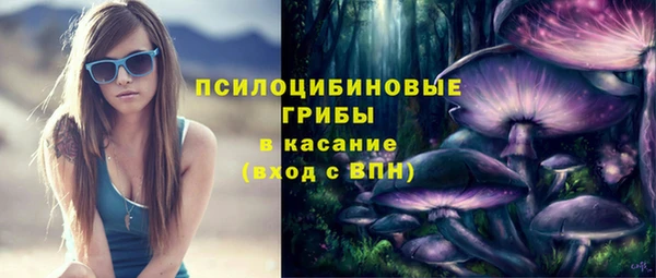 амф Заволжск