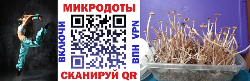 Галлюциногенные грибы Psilocybe  где найти наркотики  Ивантеевка 